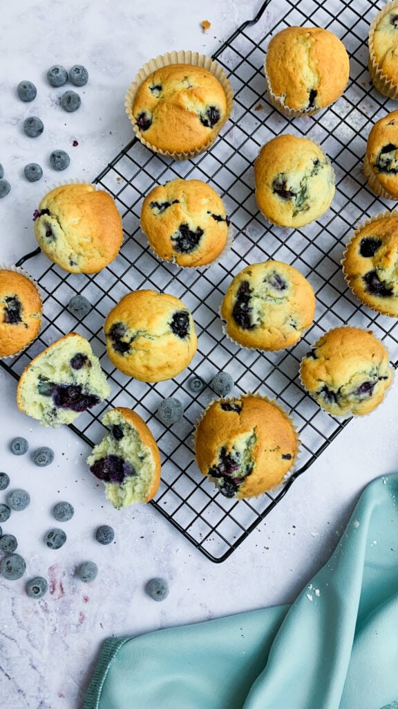 Blueberry Cheesecake Muffins