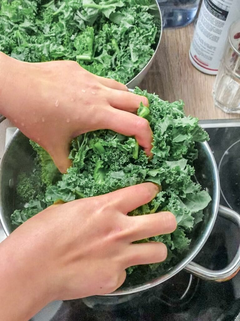 Grünkohl-Kürbis-Kartoffelbrei mit Bergwurst