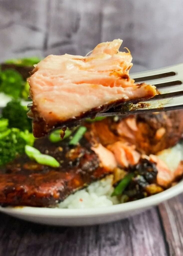 Teriyaki-Lachs - einfaches Rezept für die Heißtluftfritteuse