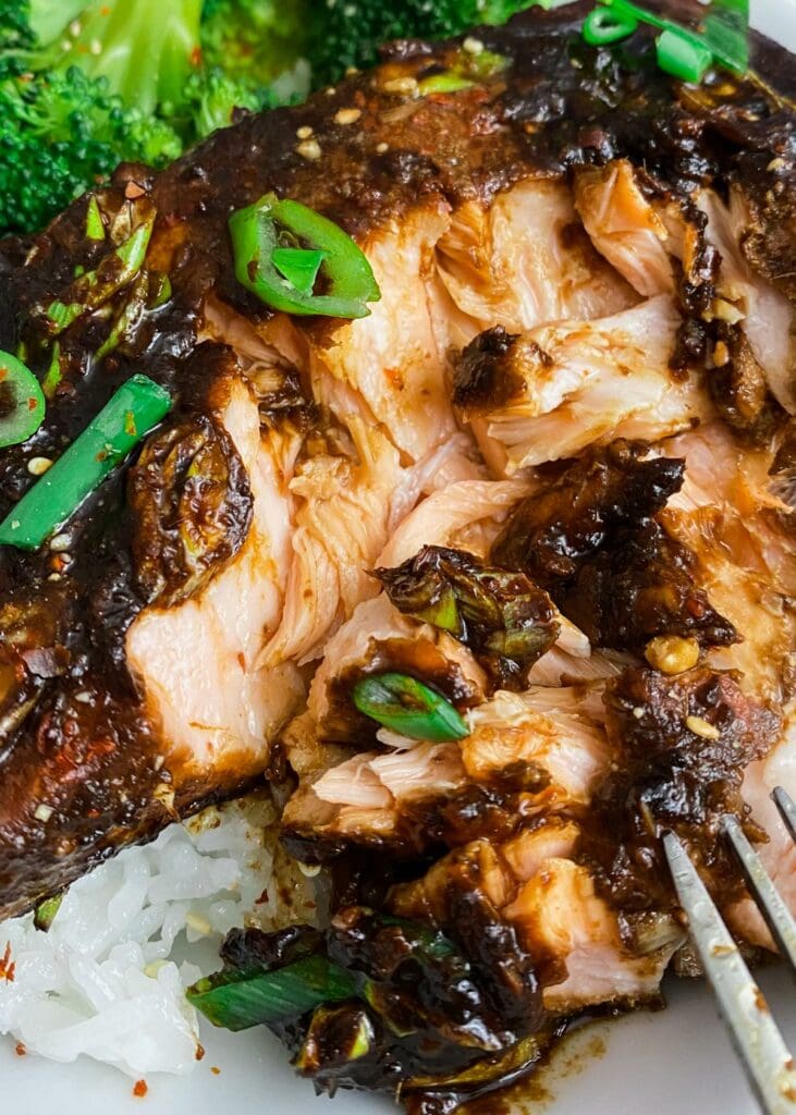 Teriyaki-Lachs einfach asiatisch kochen, schnelle Feierabendküche
