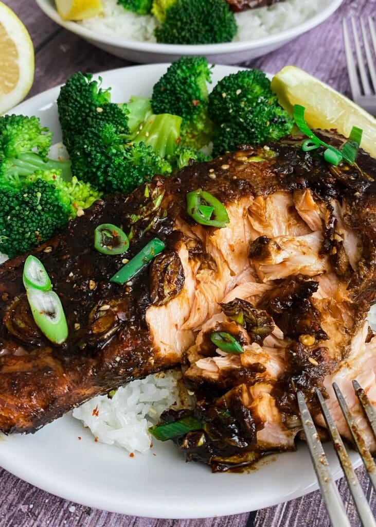 Teriyaki-Lachs einfach asiatisch kochen, schnelle Feierabendküche